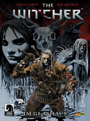 cover image of The Witcher, Band 1